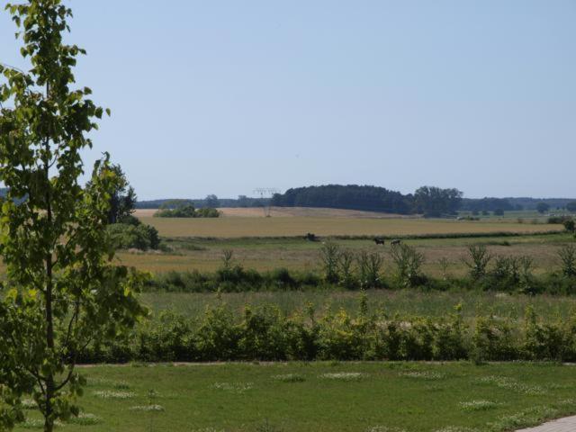 Feriendorf Alte Schmiede Mellenthin Quarto foto